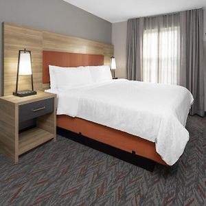 Two-Bedroom Suite Roll Shower Disability Access